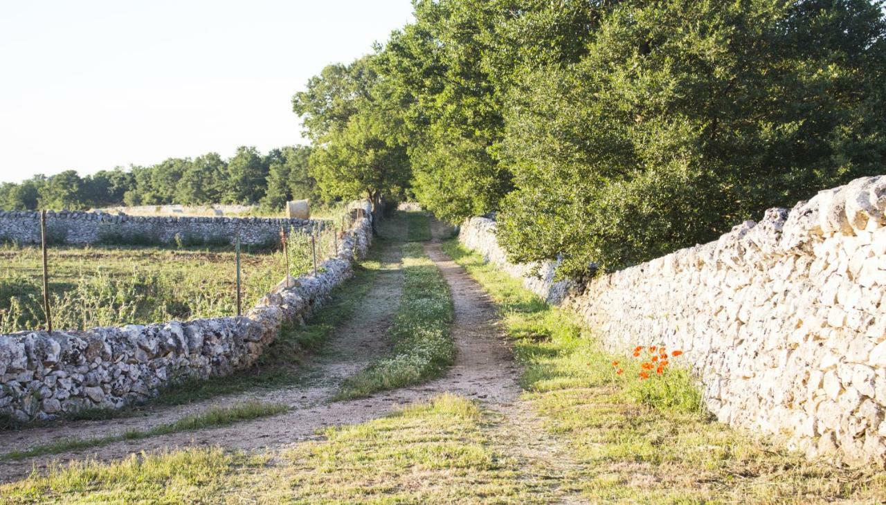 Trulli Sul Vignale In Masseria Santalachicca Martina Franca Exteriér fotografie