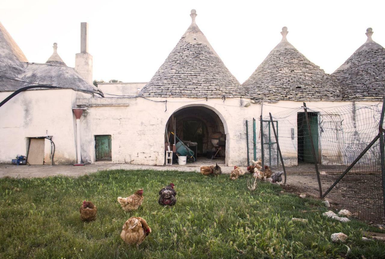 Trulli Sul Vignale In Masseria Santalachicca Martina Franca Exteriér fotografie